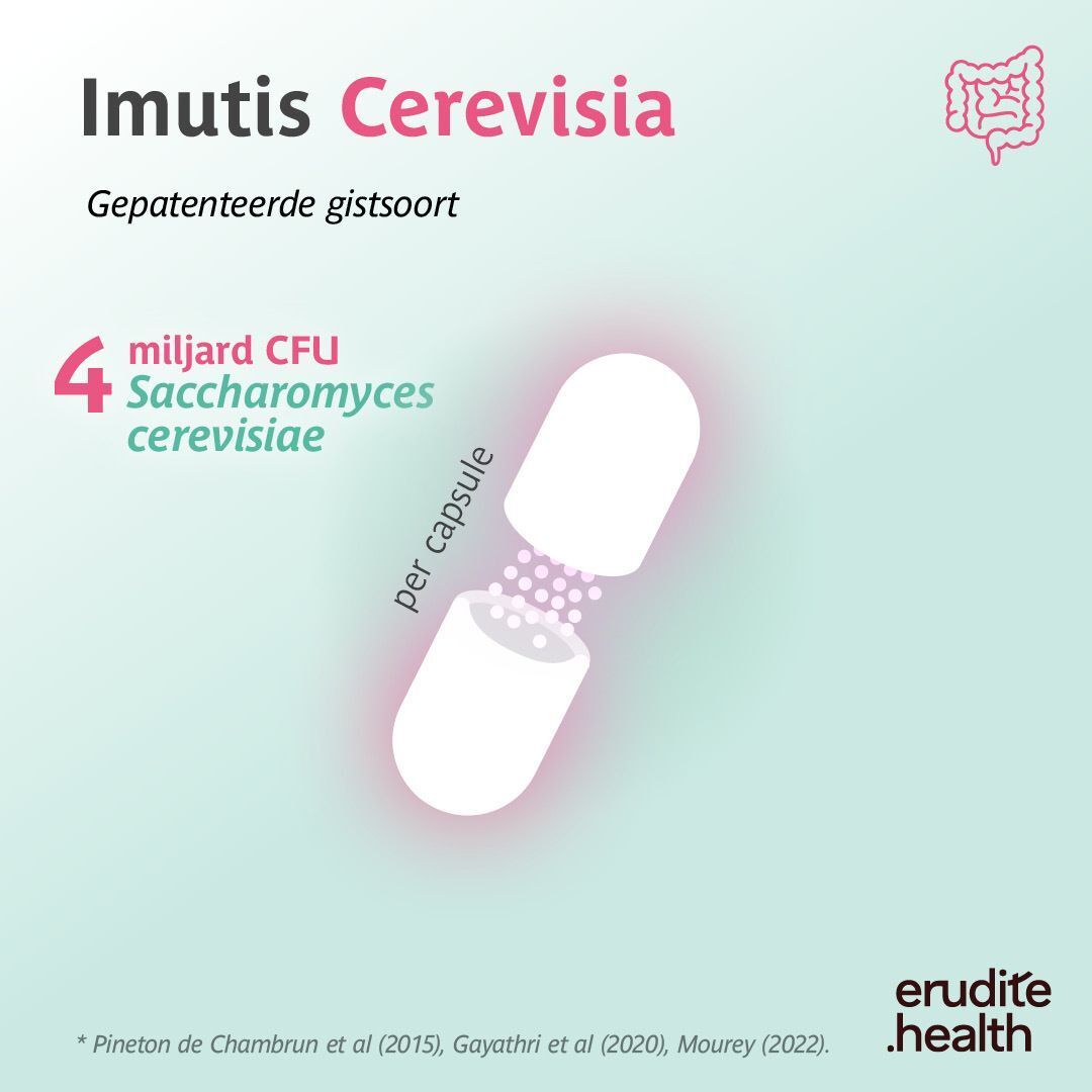 Imutis Cerevisia, 4 miljard CFU Saccharomyces cerevisiae per capsule.
