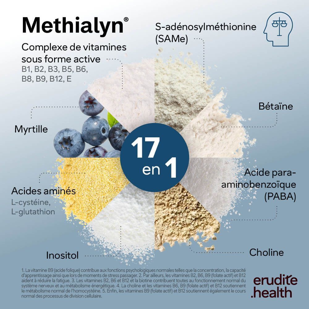 Packshot de Methialyn, un complexe de vitamines, avec représentation des ingrédients et dosage.