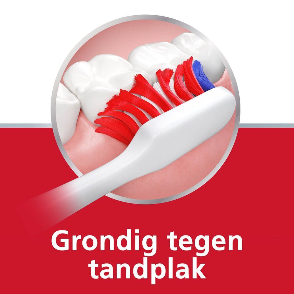 Tandenborstel in de mond. Rode en blauwe borstelharen. Tekst: Grondig tegen tandplak.