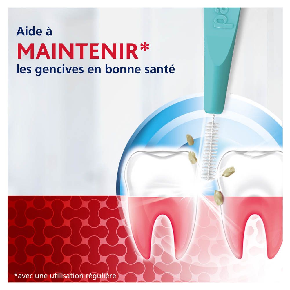 Dents et brossette interdentaire. Aide à maintenir les gencives en bonne santé. Texte : Aide à maintenir les gencives en bonne santé.