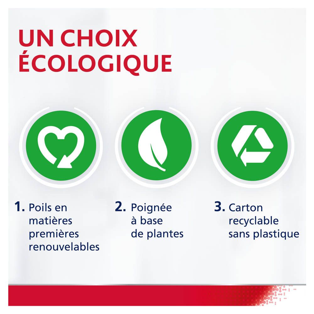 Choix écologique : soies renouvelables, manche végétal, carton recyclable sans plastique.