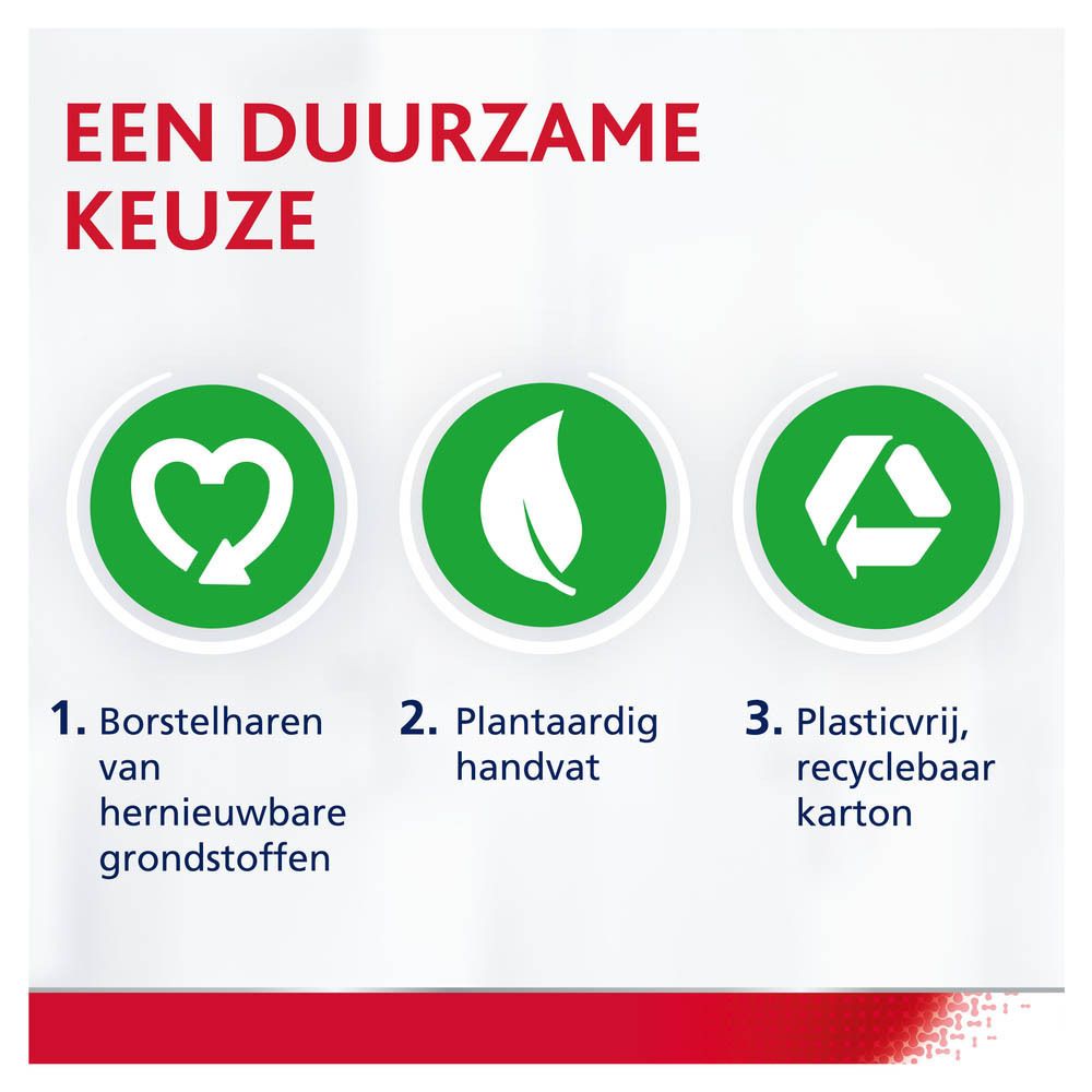 Drie cirkels met symbolen: hernieuwbare grondstoffen, plantaardig handvat, recyclebaar karton.