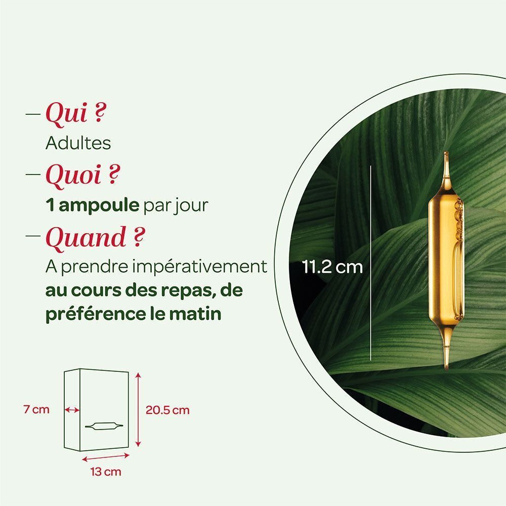 Représentation graphique d'une ampoule. Informations sur les phases du protocole. Design vert et blanc.