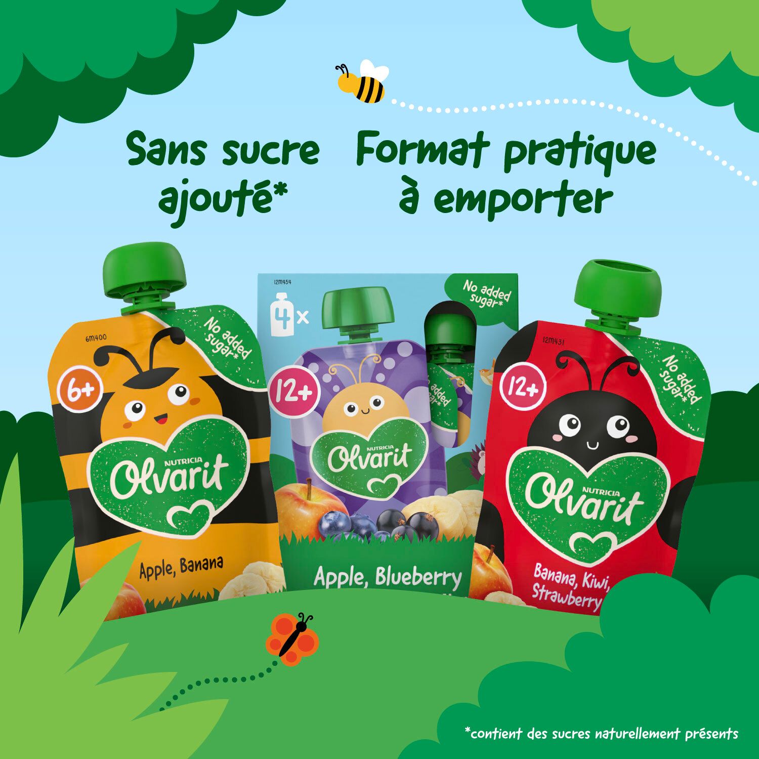 Olvarit | Gourde Fruits | Bébé Dès 12 Mois | Pomme Banane Cassis Myrtille