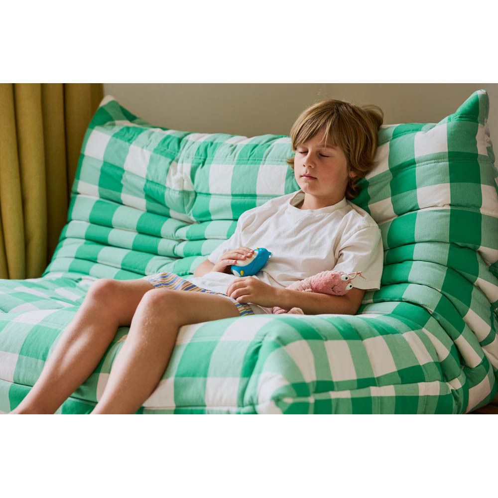 Garçon assis sur un canapé à carreaux verts. Tient l'appareil Bibi bleu.