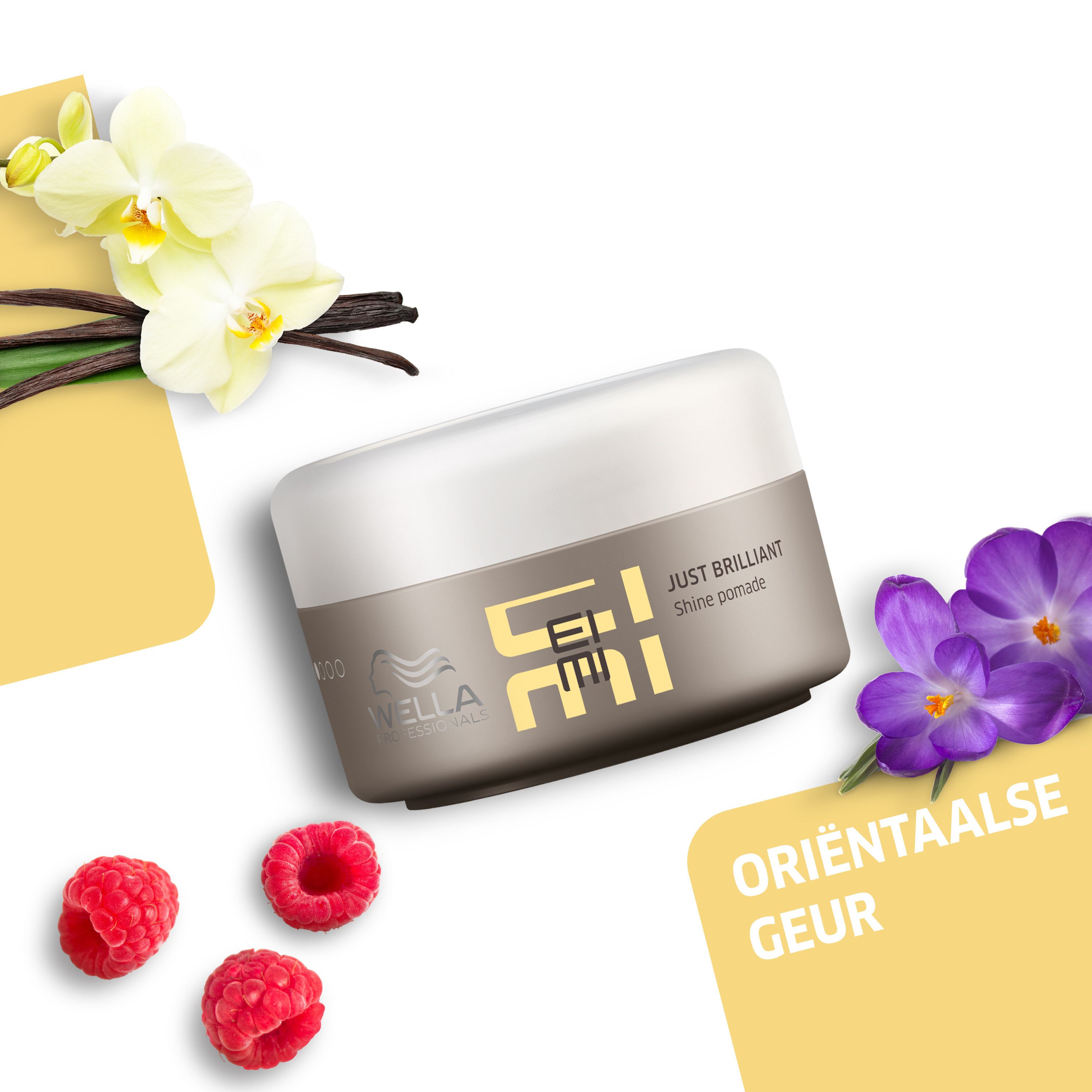 Produit : JUST BRILLIANT Shine Pomade. Logo : WELLA PROFESSIONALS, EIMI. Décoration : framboises, orchidée, vanille.