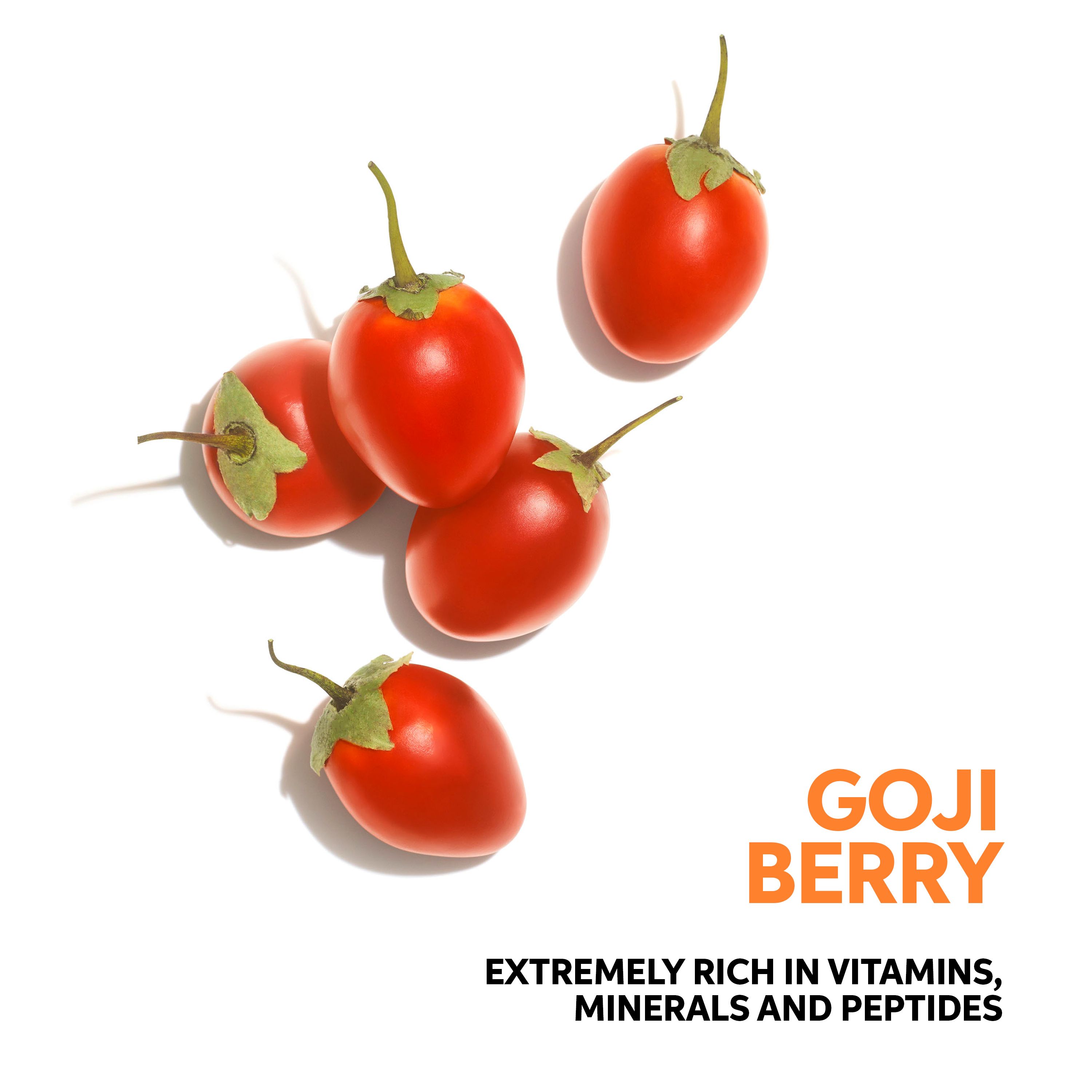 Cinq baies de goji rouges sur fond blanc. Texte: Baie de goji. Riche en vitamines, minéraux et peptides.
