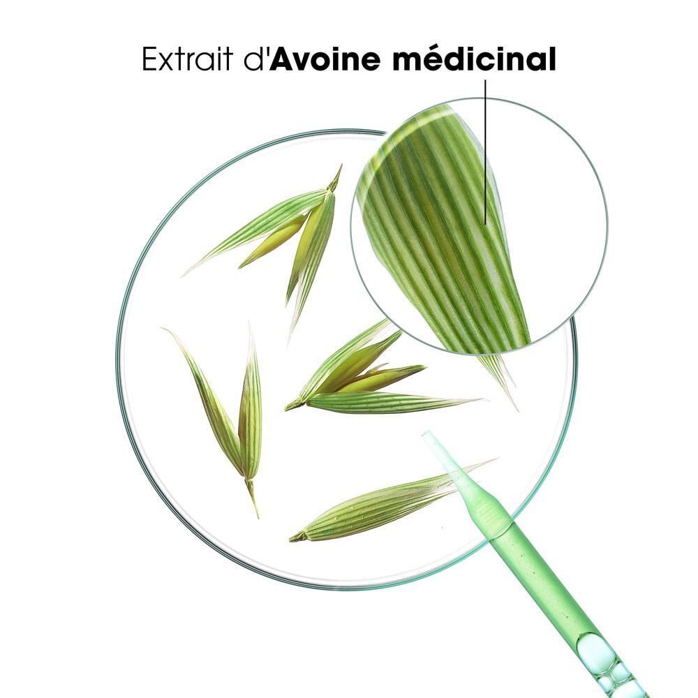 Gros plan sur des plantes d'avoine. Feuilles vertes. Texte : Extrait d'Avoine médicinal. Fond : blanc.