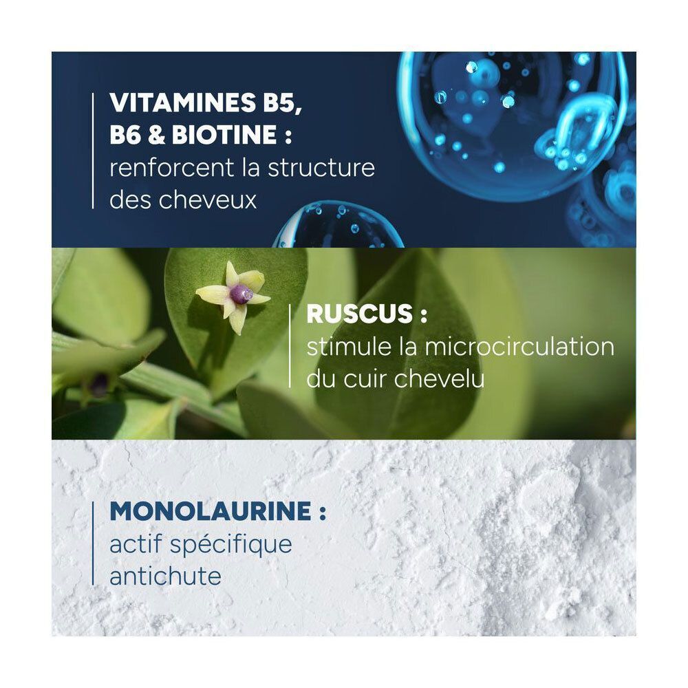 Ingrédients : Vitamines B5, B6, Biotine renforcent la structure. Ruscus stimule la microcirculation. Monolaurine actif antichute.