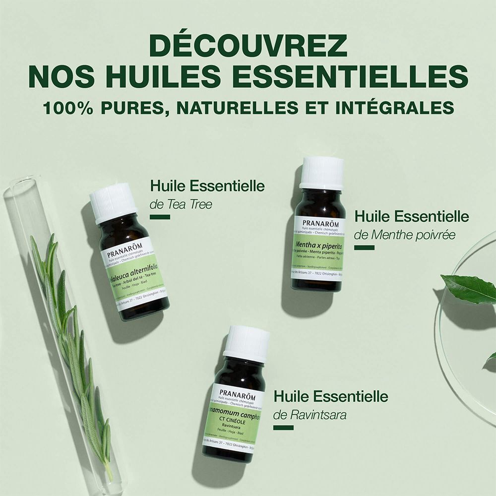 Drie kleine flesjes essentiële oliën. Merknaam Pranarom. Verschillende soorten: Tea Tree, Pepermunt, Ravintsara.