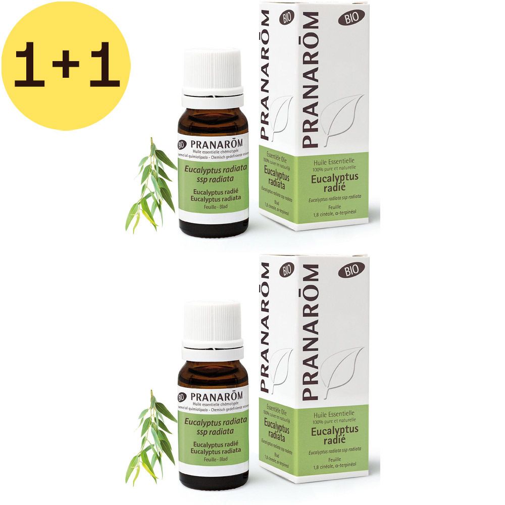 Deux flacons et deux boîtes. Sur les flacons, "Eucalyptus radiata". Sur les boîtes, "Huile Essentielle Eucalyptus radié".