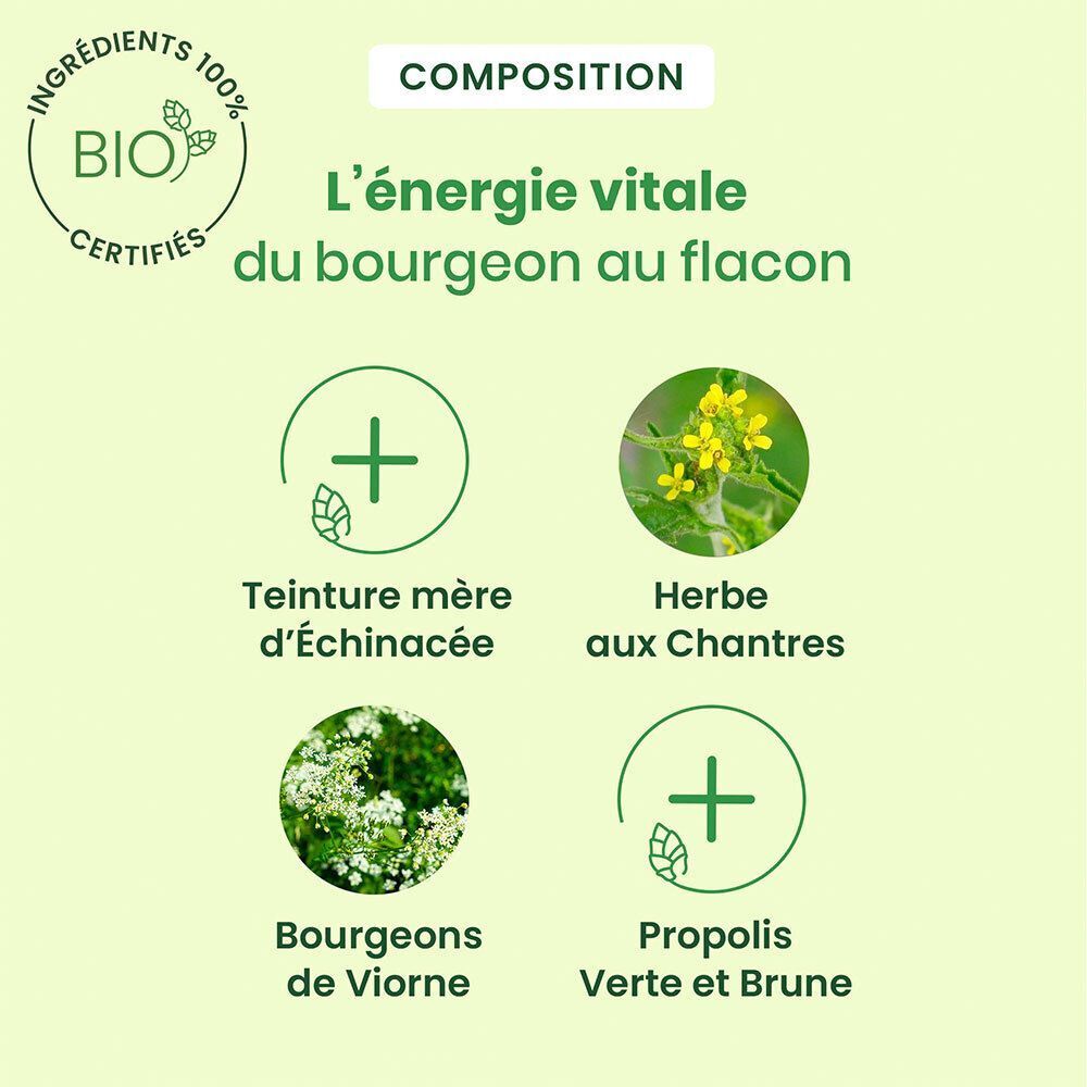 Grafiek met vier elementen. Boven: Bio-certificering. Daaronder: Moedertinctuur, Herbe aux Chantres, Bourgeons de Viorne, Propolis Verte et Brune.