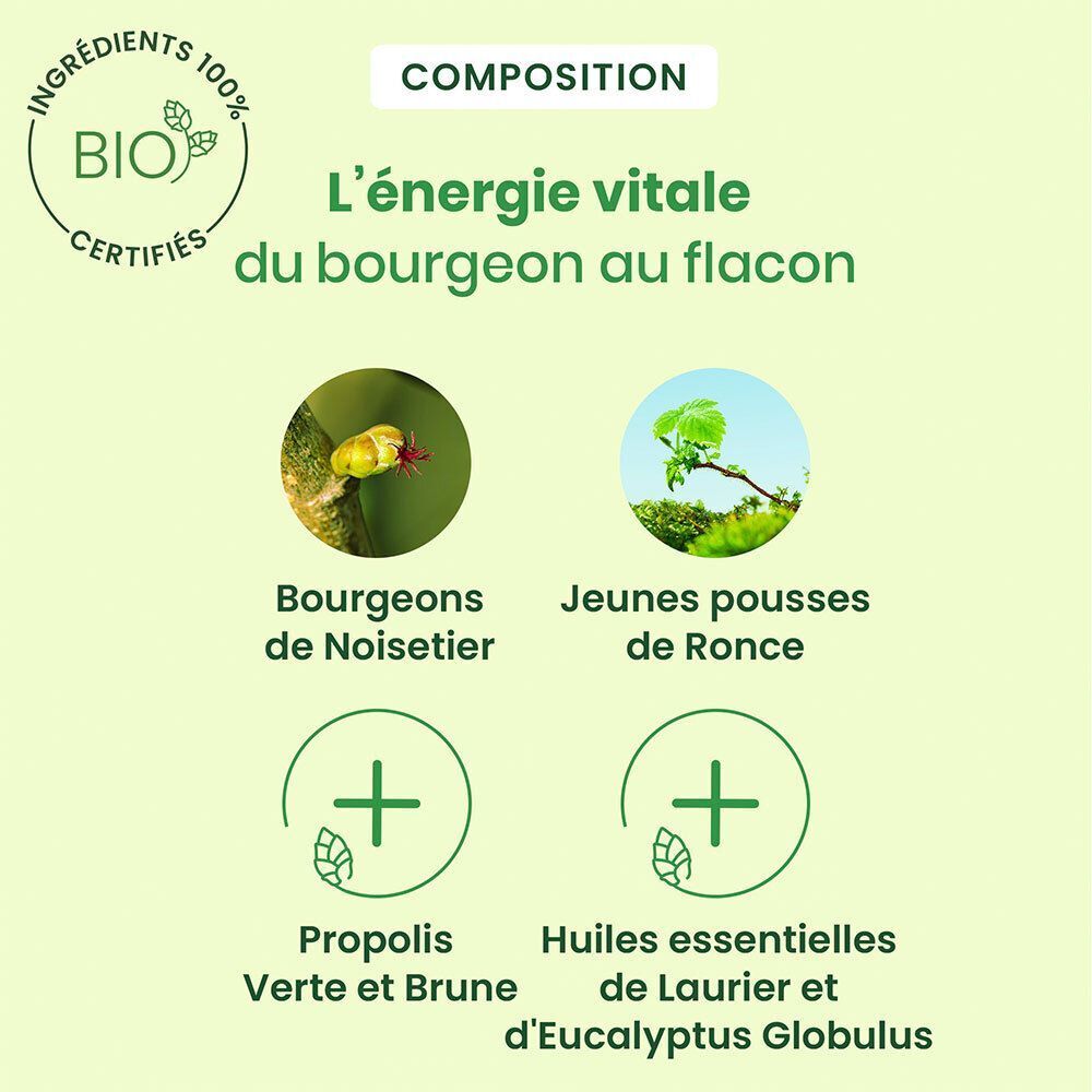 Composition: Bourgeons de Noisetier, jeunes pousses de Ronce, Propolis verte et brune, huiles essentielles.