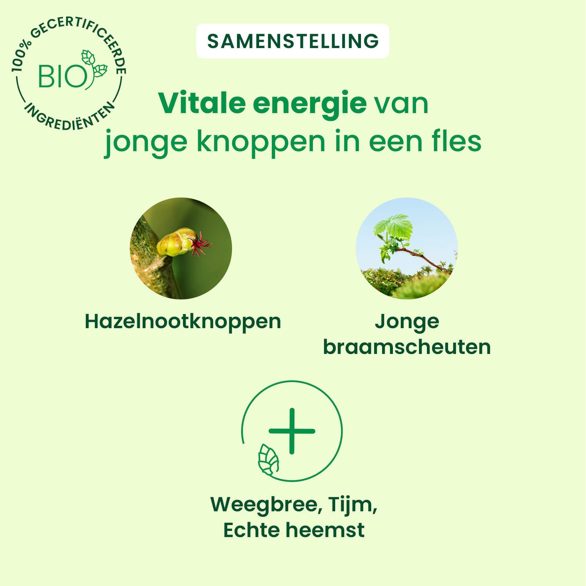 Samenstelling: Hazelnootknoppen, jonge braamscheuten, Weegbree, Tijm, Echte heemst.