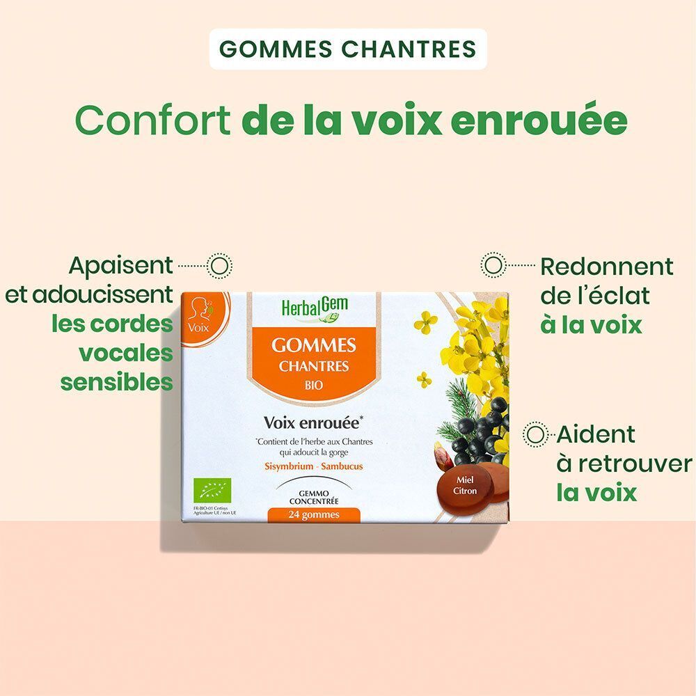 Une boîte de gommes à mâcher HerbalGem. Inscription : Gommes Chantres Bio, 24 gommes. Avec fleurs jaunes et baies noires.