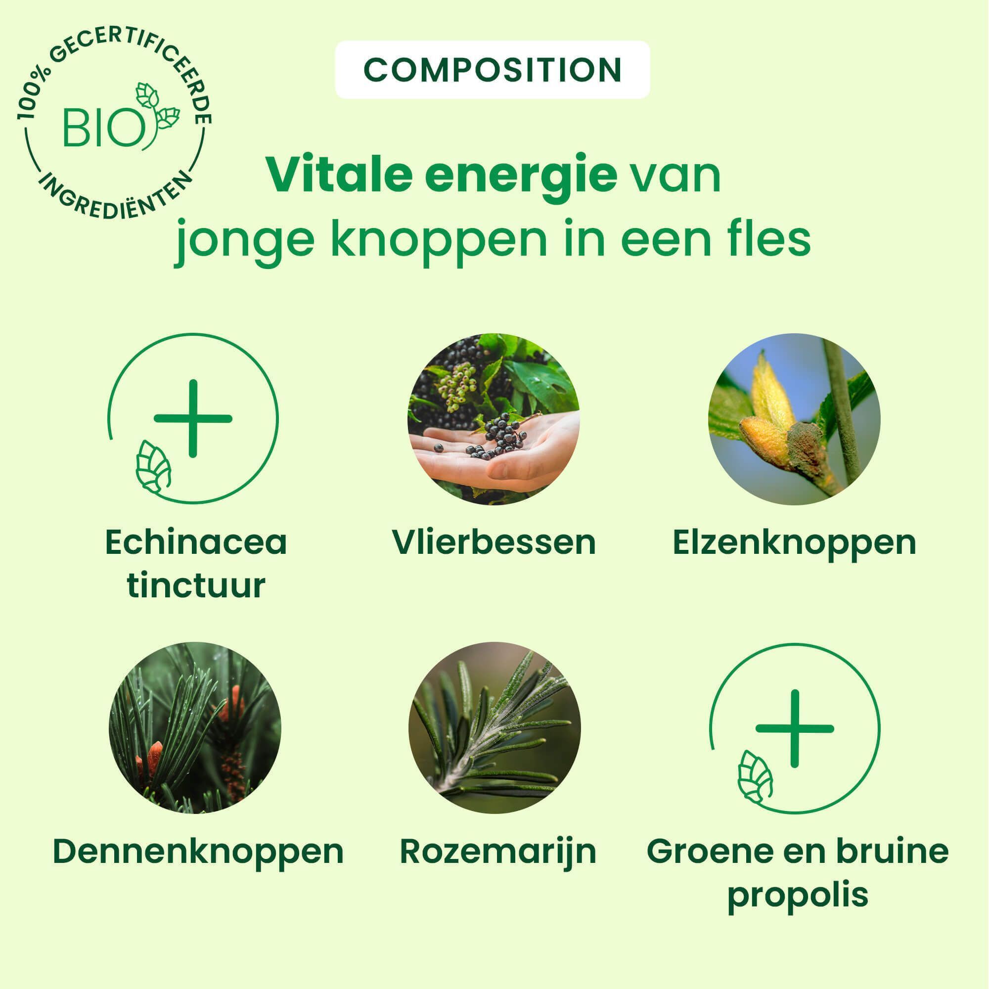 Een fles HerbalGem Ademhalingssiroop Bio. Opschrift: Siroop Respiration. Bio-certificering. 100% natuurlijke ingrediënten.
