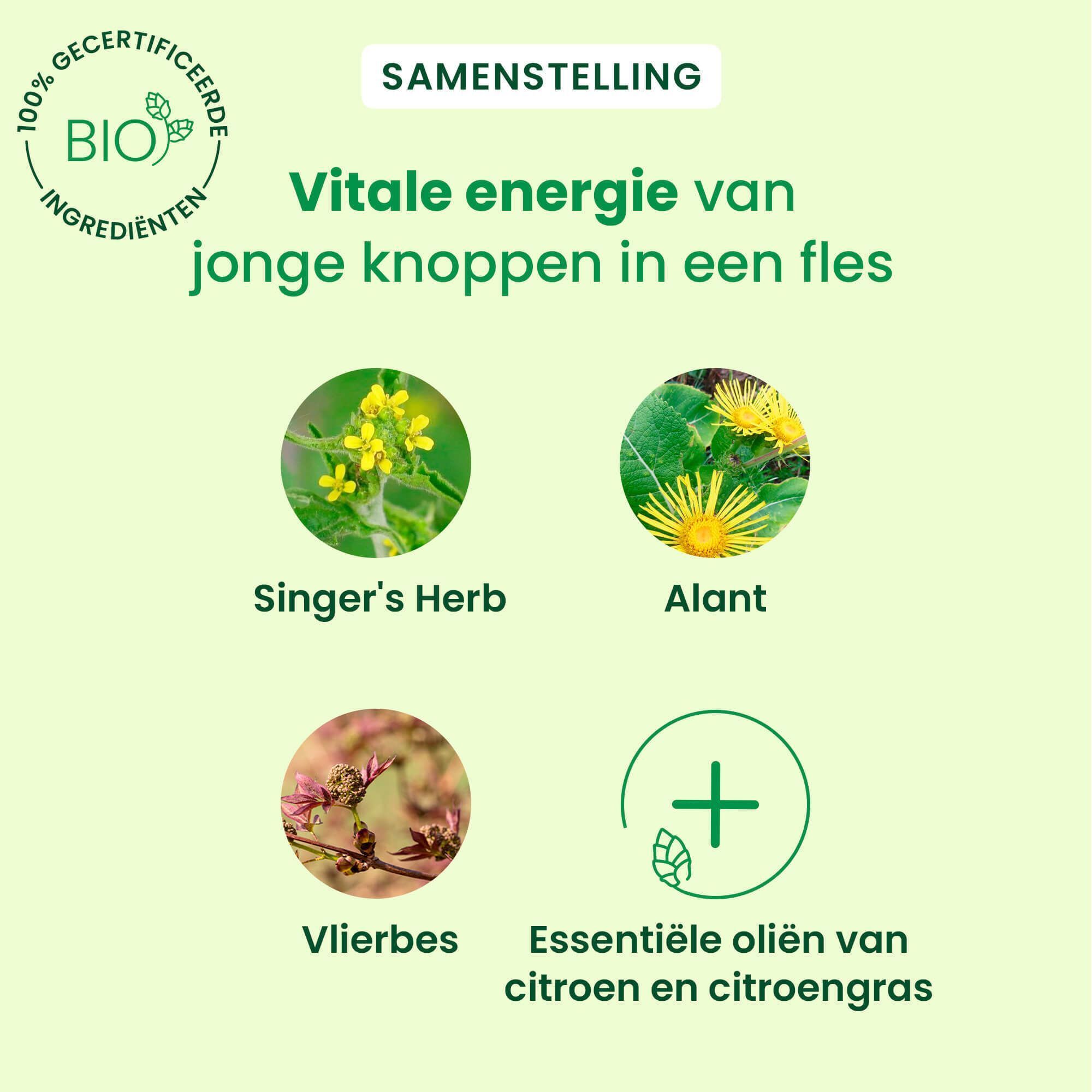 Illustratie van ingrediënten. Tekst: Singer's Herb, Alant, Vlierbes, Essentiële oliën van citroen.