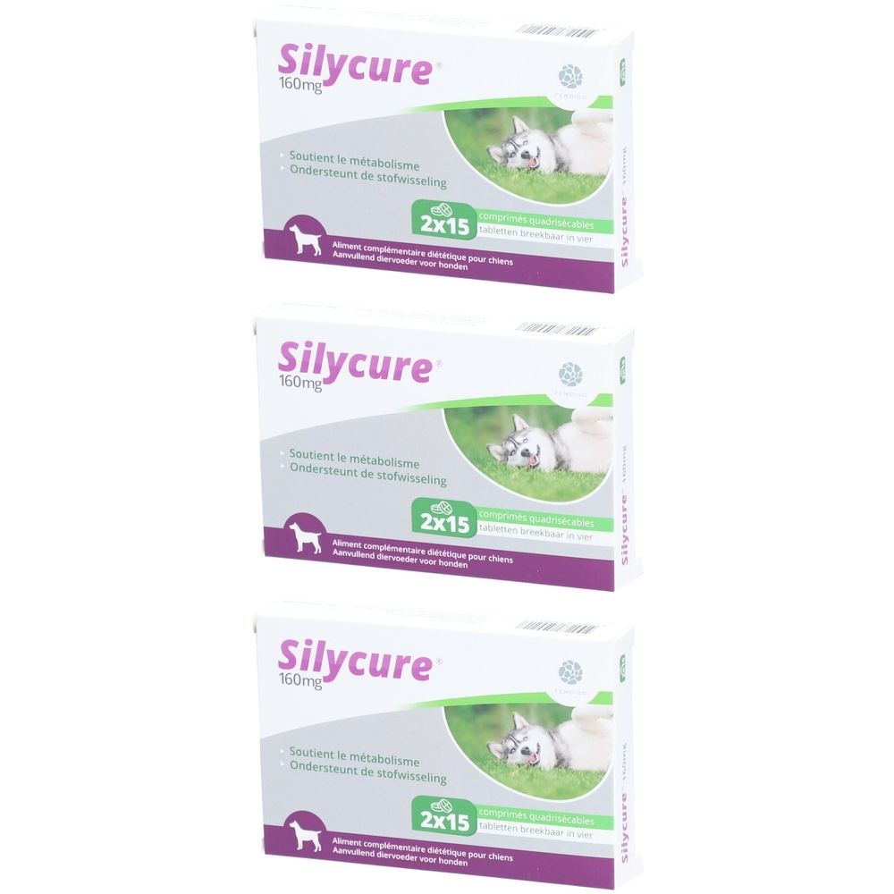 Trois boîtes de Silycure 160 mg. Emballage blanc avec nom du produit, illustration de chien et texte multilingue.