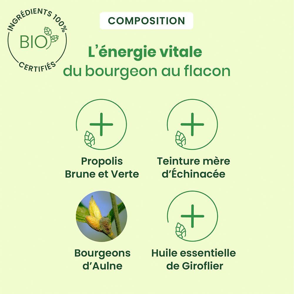 Composition : Propolis brune et verte, teinture mère d'échinacée, bourgeons d'aulne, huile essentielle de girofle.