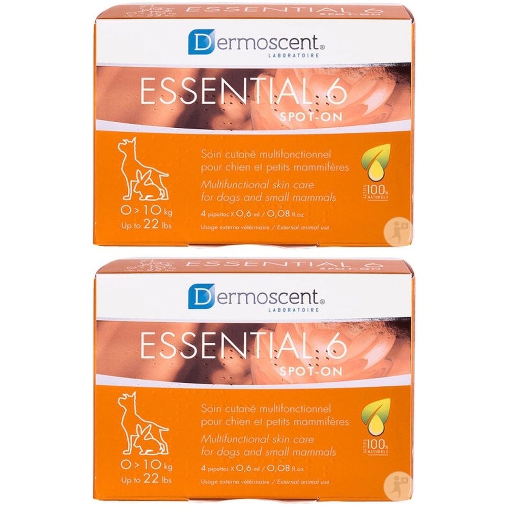 Twee oranje dozen met productopdruk. Opschrift: Dermoscent Essential 6 Spot-On. Met afbeelding van een hond en tekst.