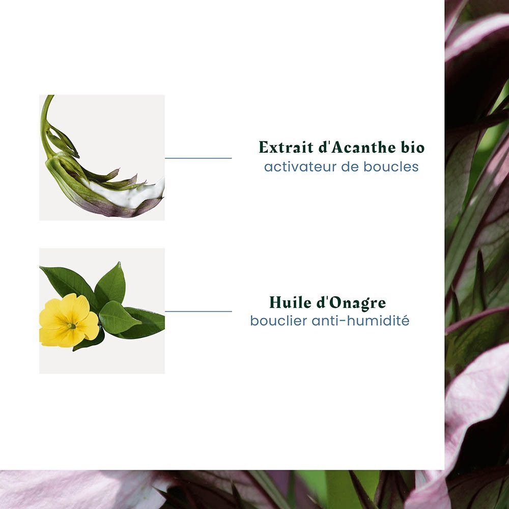Extrait d'Acanthus bio, activateur de boucles. Huile d'onagre, bouclier anti-humidité.