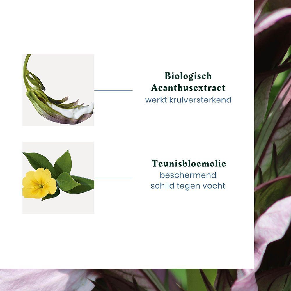 Klorane biologisch Acanthusextract voor krulversterking en Teunisbloemolie ter bescherming tegen vocht.