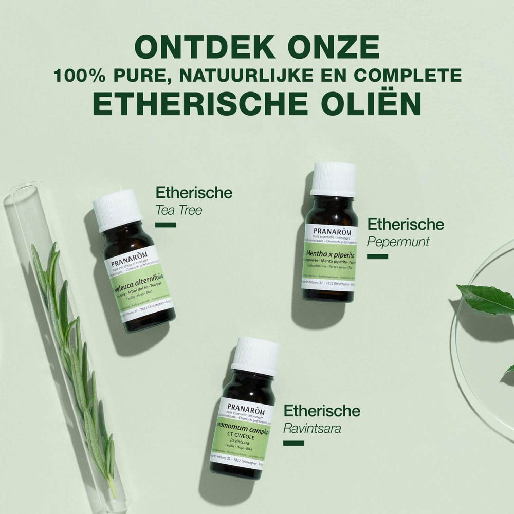 Drie flessen essentiële olie. Opschrift: Etherische oliën, Tea Tree, Pepermunt, Ravintsara. Groene achtergrond.