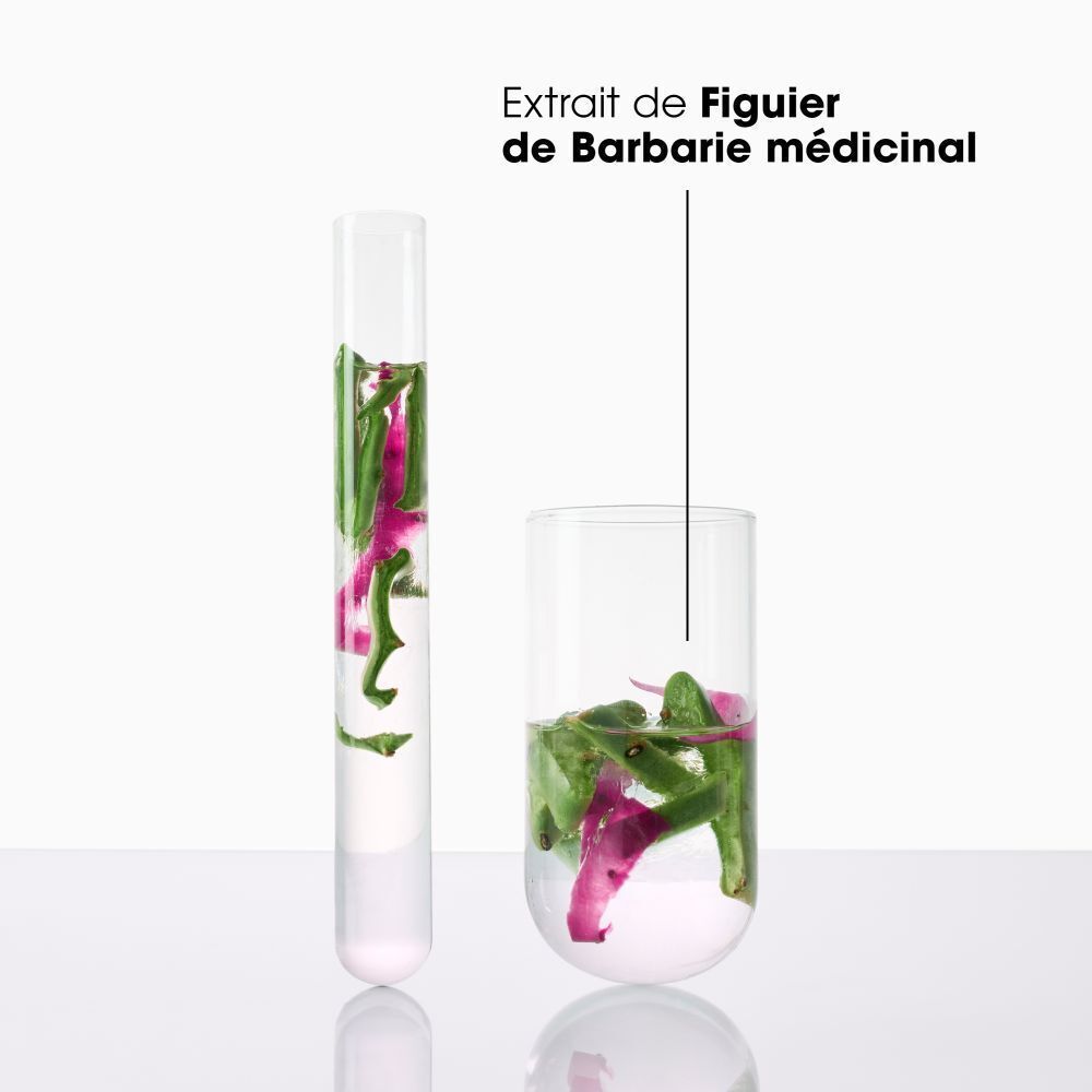 Deux verres avec liquide et plantes. Texte: Extrait de Figuier de Barbarie médicinal.
