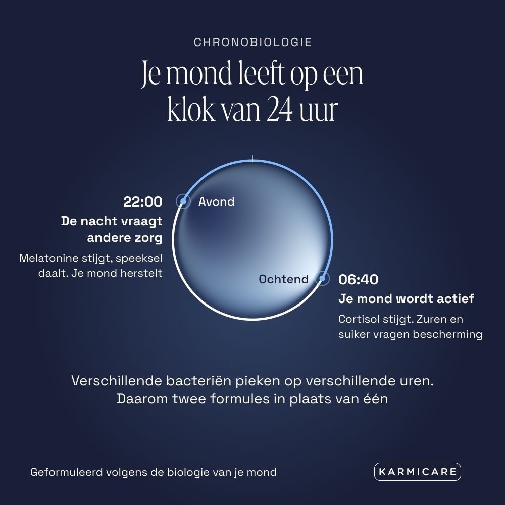 Chronobiologie grafiek: De mond leeft volgens een 24-uurs klok met tijden en uitleg over nachtelijke en ochtend mondverzorging.