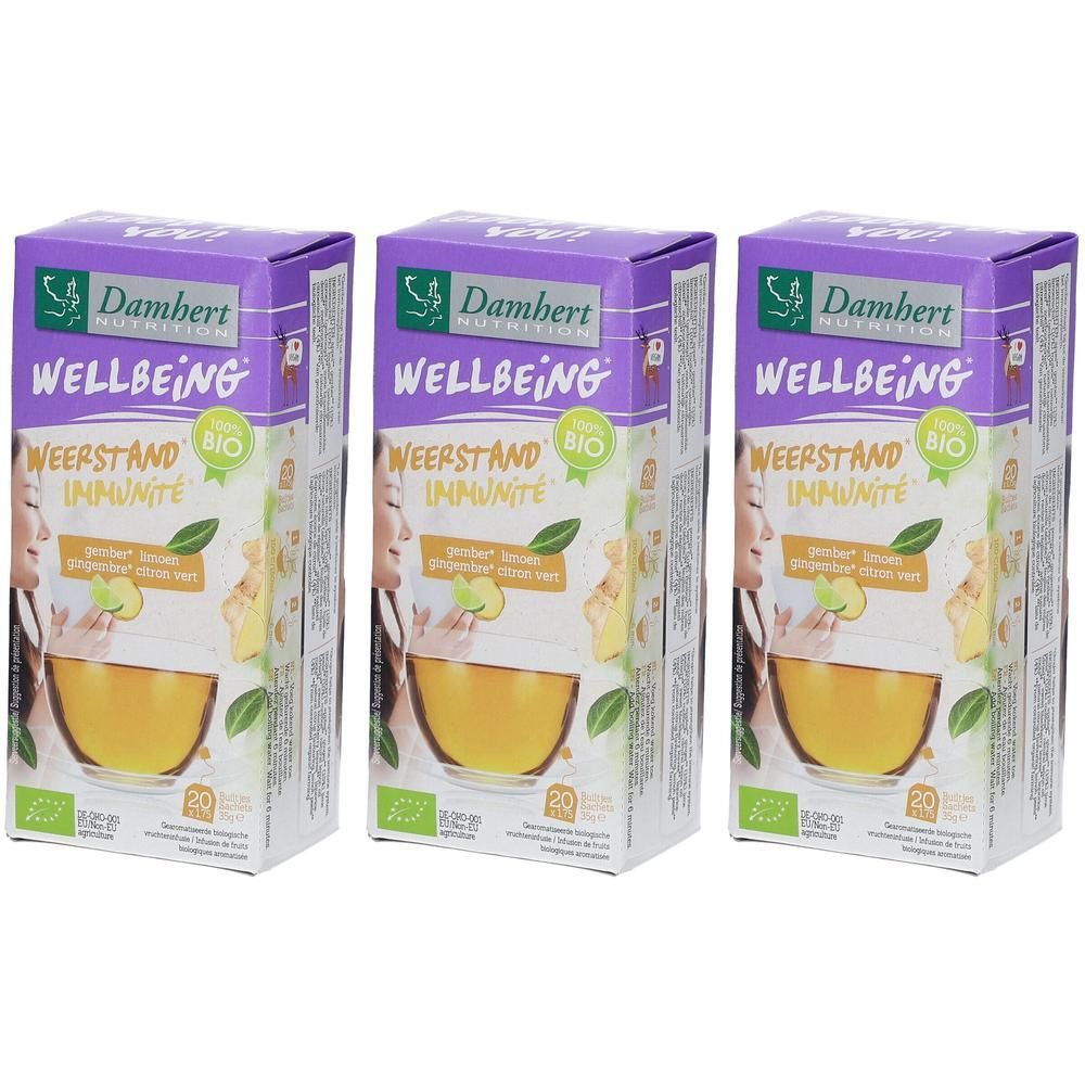 Trois boîtes de thé Damhert Wellbeing. Ingrédients : gingembre, citron, bio. Emballage vert-violet avec femme et tasse.