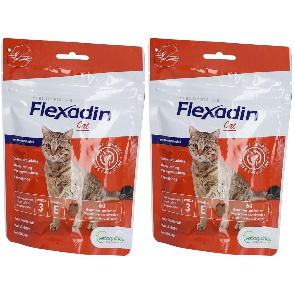 Twee zakjes Flexadin Cat. Opdruk: kat, tekst, 3, 60, Omega 3, E. Verpakking met rood en wit design.