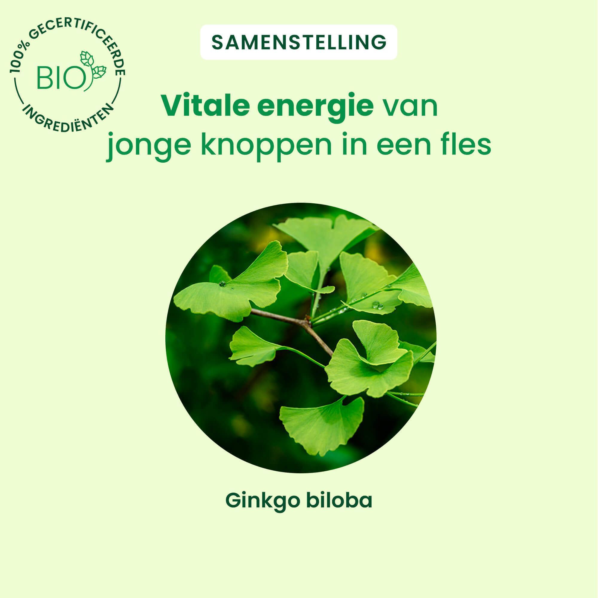 Een flesje HerbalGem Ginkgo Biloba. Opschrift: Ginkgo Biloba, 30ml. Met tekst en illustraties. Achtergrond met tekst.