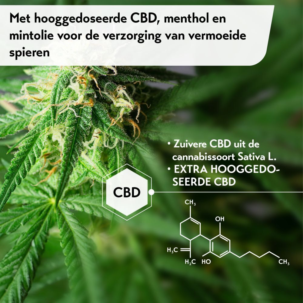 Close-up van cannabisbladeren. Tekst: CBD pur, CBD EXTRA DOSÉ. Chemische formule. Tekst: Avec du CBD hautement dosé.
