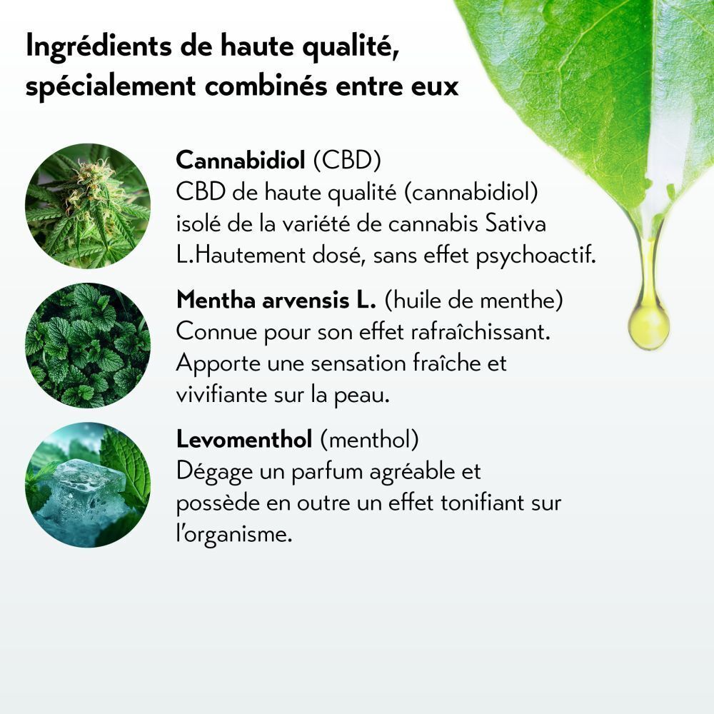 Texte avec ingrédients : Cannabidiol, Mentha arvensis, Levomenthol. Illustrations de plantes et de glaçons.