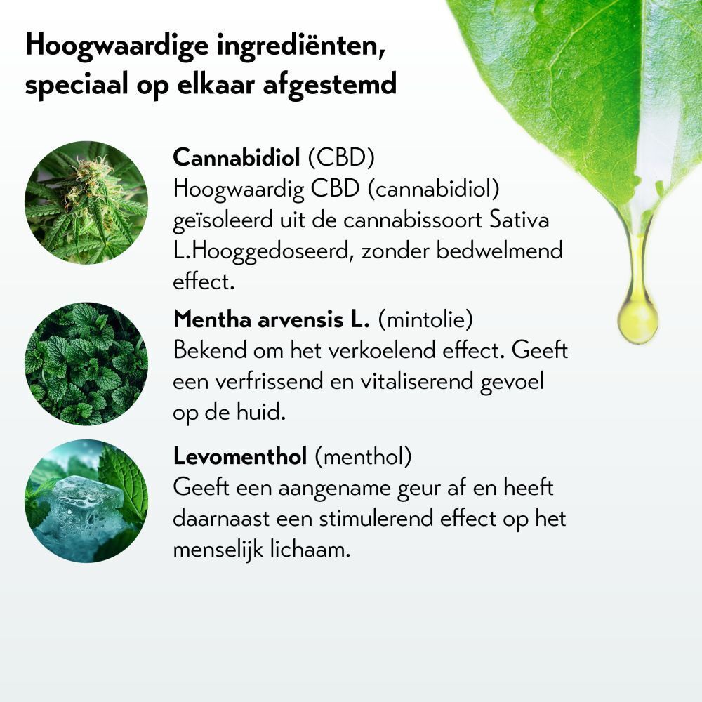 Tekst met ingrediënten: Cannabidiol, Mentha arvensis, Levomenthol. Illustraties van planten en ijsblokjes.