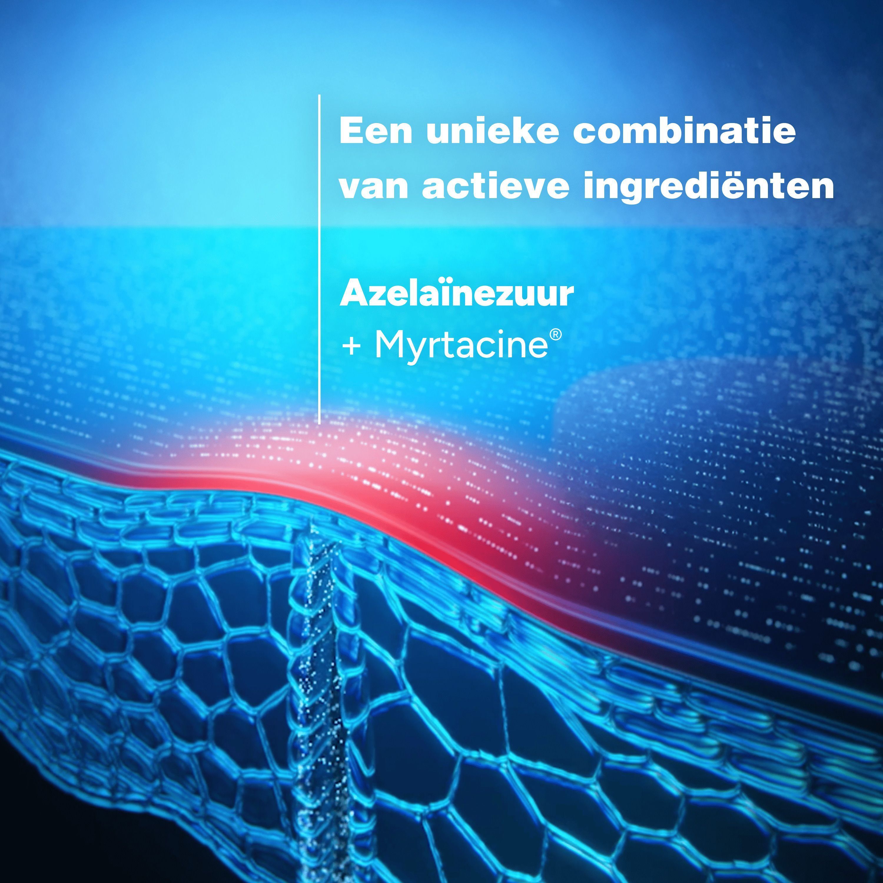 Grafiek: Een combinatie van actieve ingrediënten. Azelaïnezuur + Myrtacine.