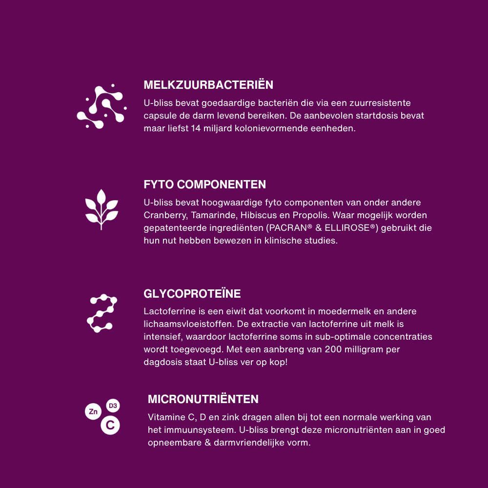 Infographie avec texte et symboles sur les ingrédients U-bliss: bactéries lactiques, phytonutriments, glycoprotéine, micronutriments.