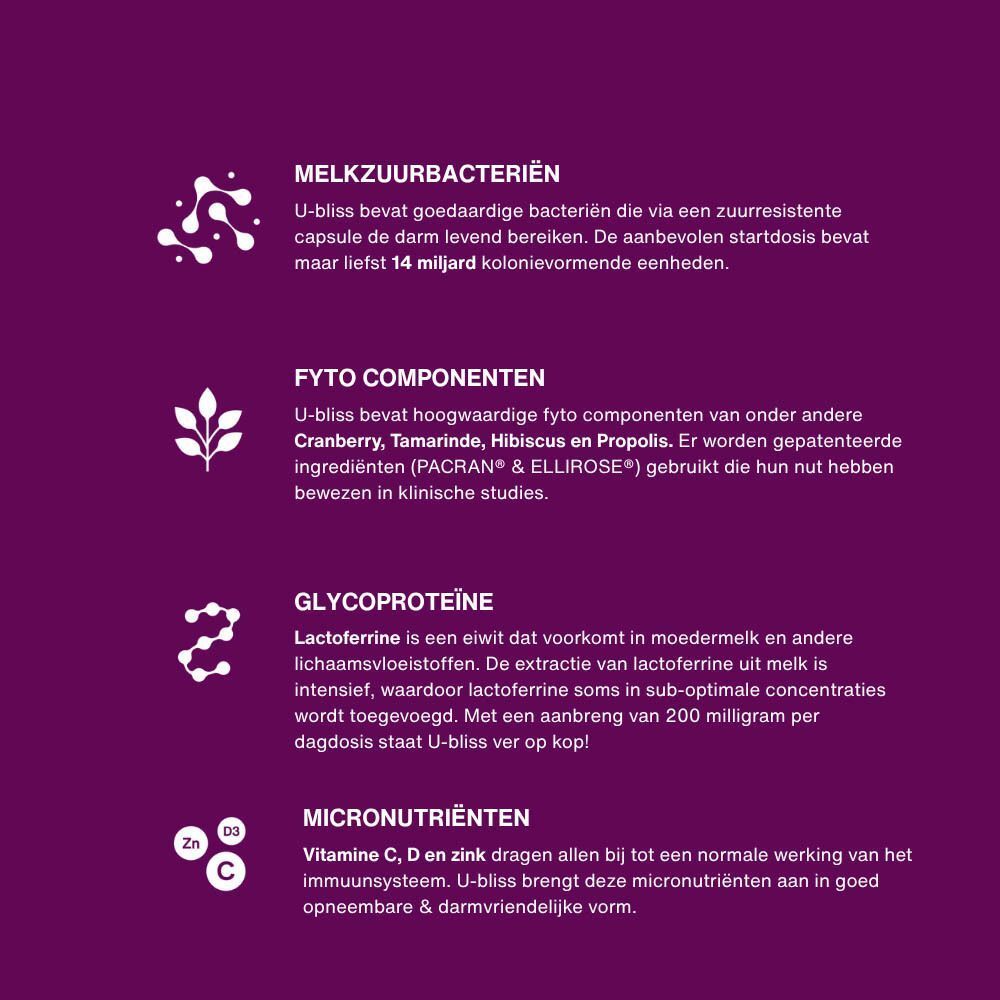 Infographic met tekst en symbolen over U-bliss ingrediënten: melkzuurbacteriën, fytonutriënten, glycoproteïne, micronutriënten.
