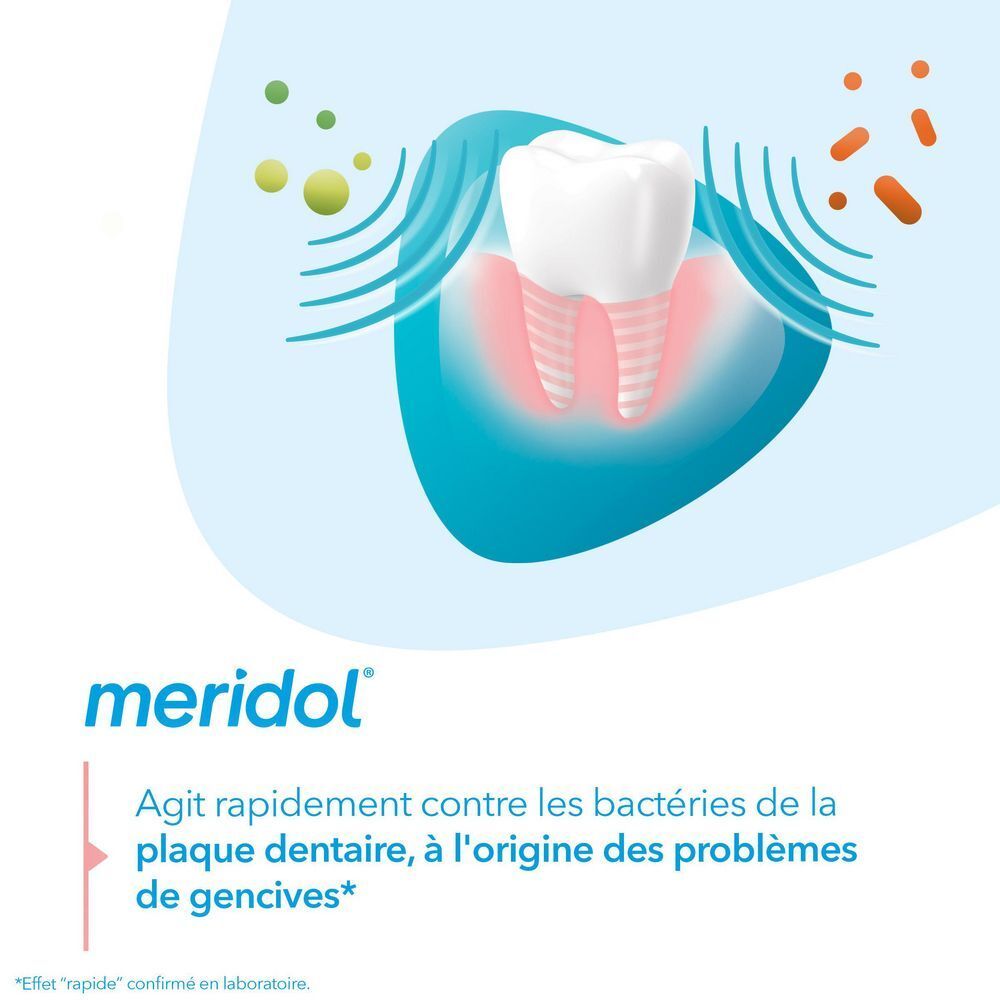 Graphique d'une dent et des gencives. Texte : "meridol" et informations sur l'action contre les bactéries.