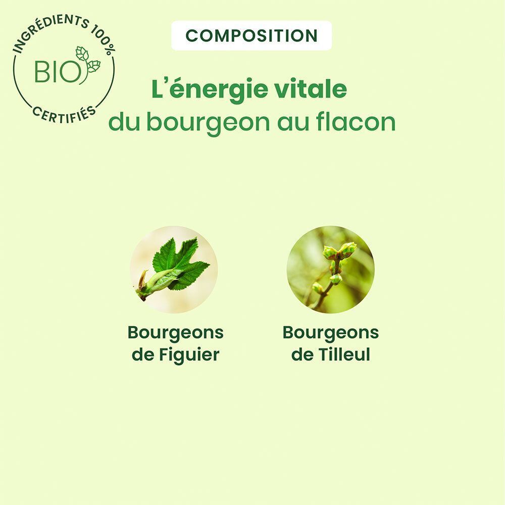Deux cercles avec des feuilles. Texte: Bourgeons de Figuier, Bourgeons de Tilleul. Certification Bio.