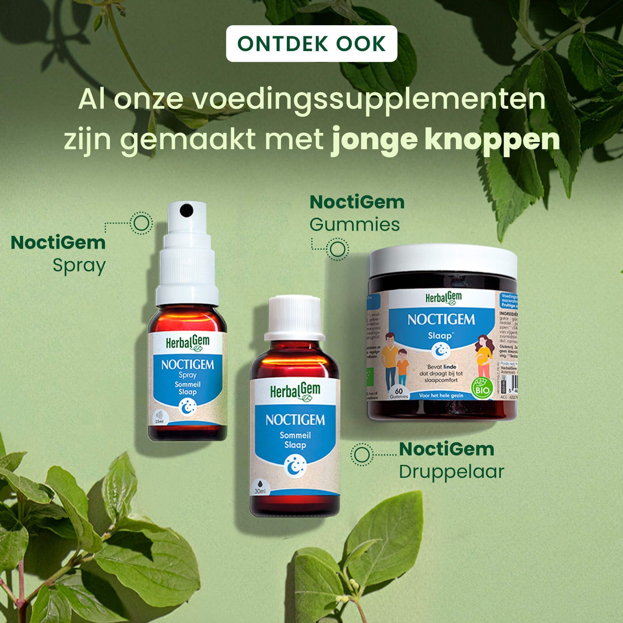 Drie producten: Noctigem Spray, Noctigem Gommies, Noctigem Druppelaar. Tekst: Noctigem.