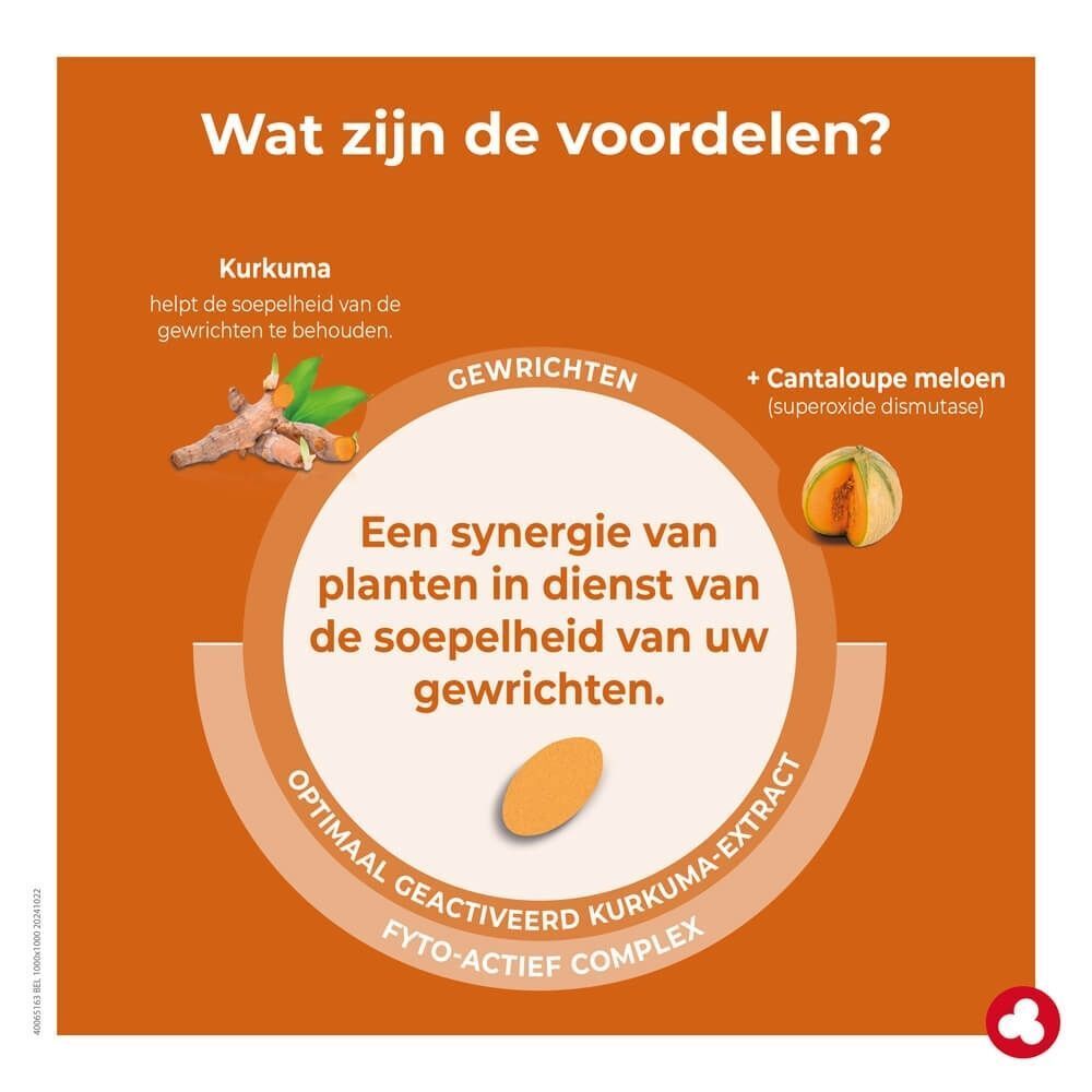 Grafiek met kurkuma en meloen, die de voordelen van een plantaardig complex voor de gewrichtsgezondheid benadrukt.