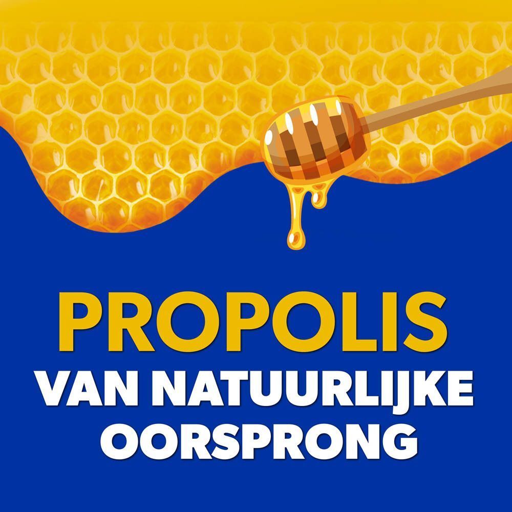 Honingraat met honing en tekst Propolis van natuurlijke oorsprong.
