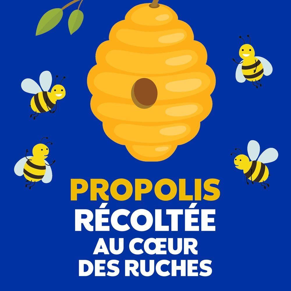 Ruche avec des abeilles et le texte Propolis récoltée au cœur des ruches.