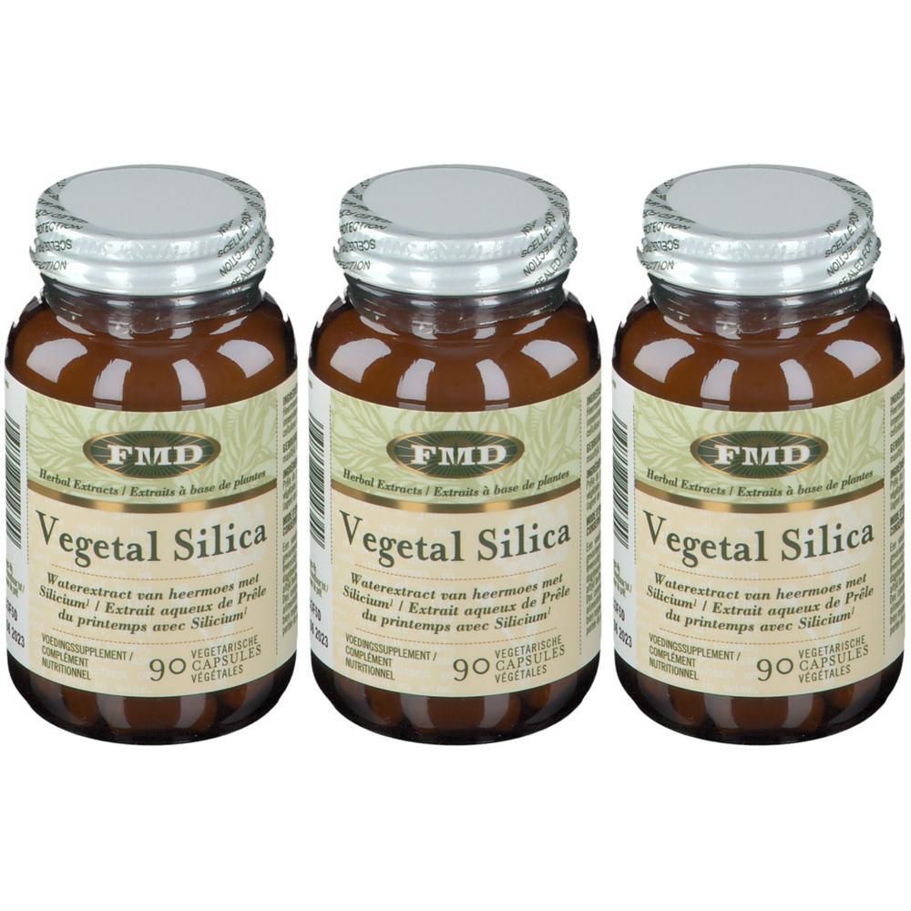 Trois flacons en verre brun avec des couvercles argentés. Les étiquettes indiquent "Vegetal Silica" et "90 Capsules".