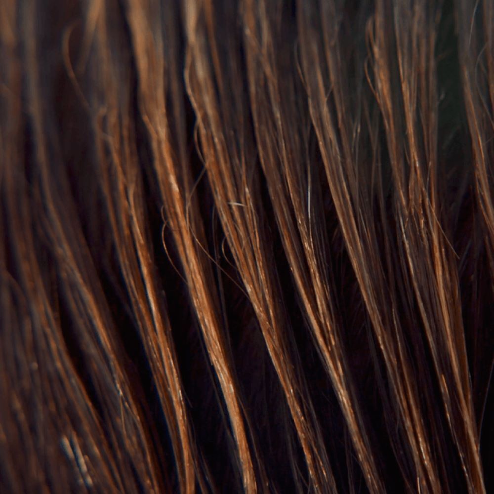 Gros plan de cheveux bruns mouillés. Mèches.