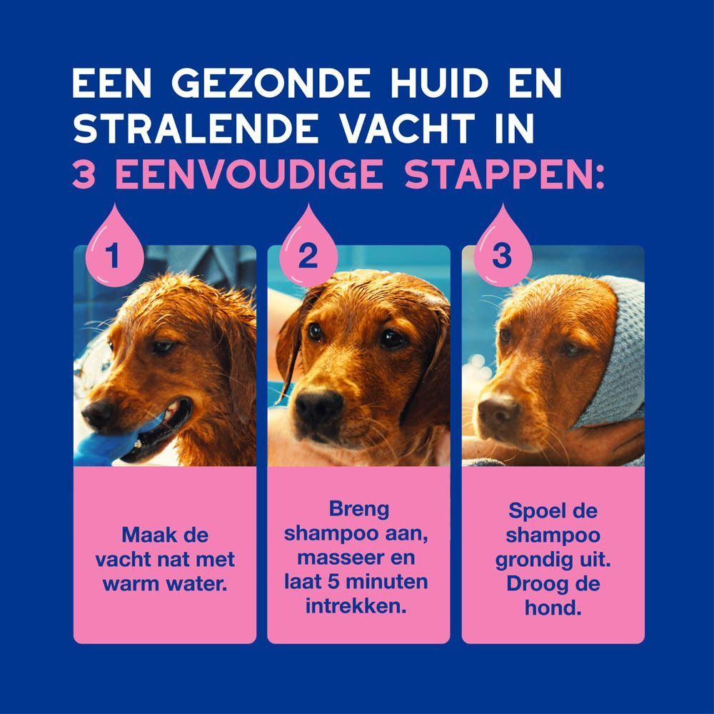 Drie afbeeldingen tonen de stappen van de vachtverzorging: bevochtigen, shampooën, spoelen en drogen.