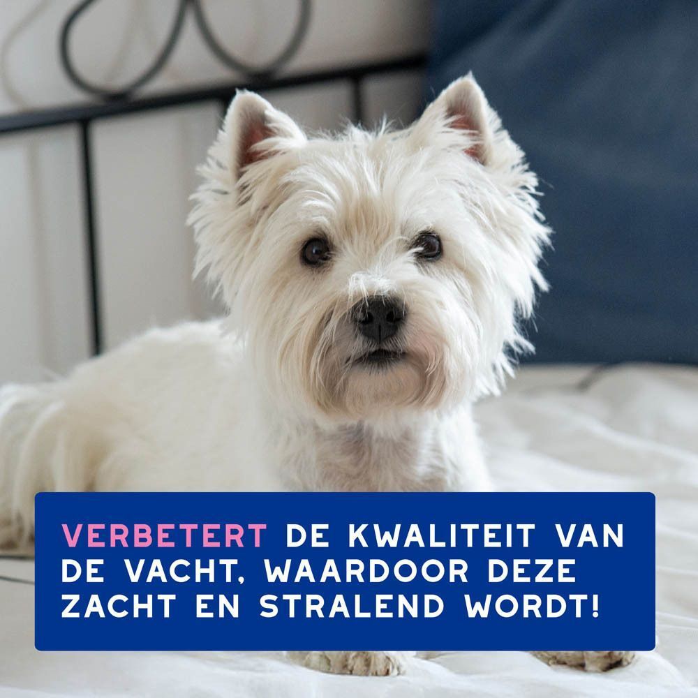 Een witte hond op een bed. Tekst: Verbetert de kwaliteit van de vacht, waardoor deze zacht en stralend wordt!