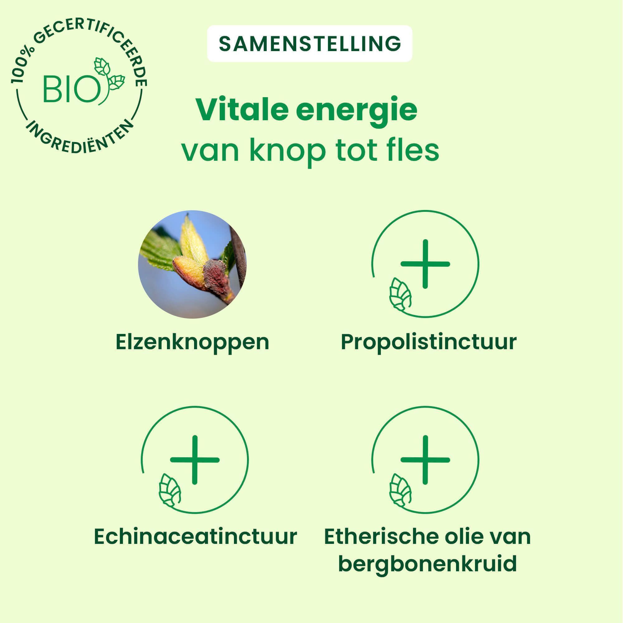 Een fles HerbalGem Propolis Junior Sirop met BIO-certificering. Ronde logo's met tekst: 100% BIO-ingrediënten, Ultra-geconcentreerd.