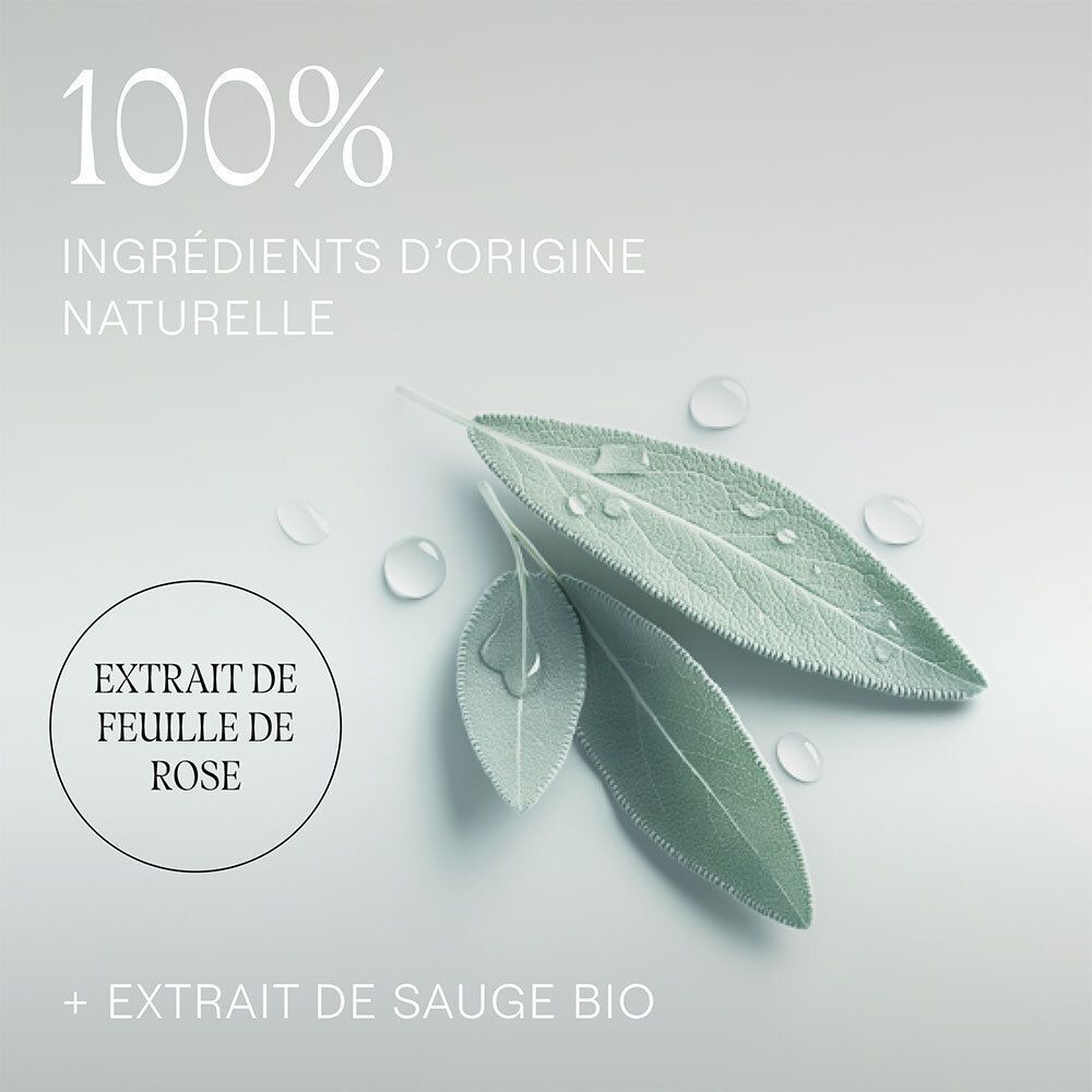 Trois feuilles vertes avec des gouttes d'eau. Texte: 100% INGRÉDIENTS D'ORIGINE NATURELLE, EXTRAIT DE FEUILLE DE ROSE, + EXTRAIT DE SAUGE BIO.